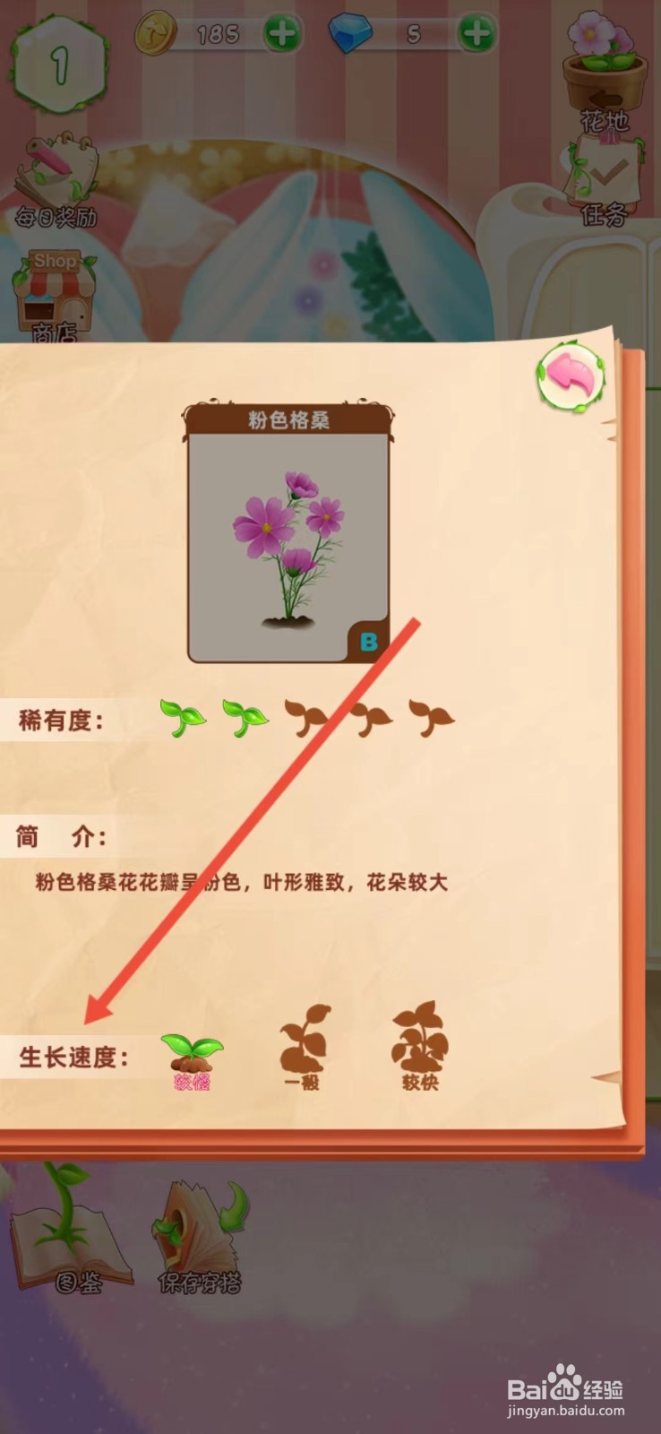 花花姑娘如何查看粉色格桑的【生长速度】