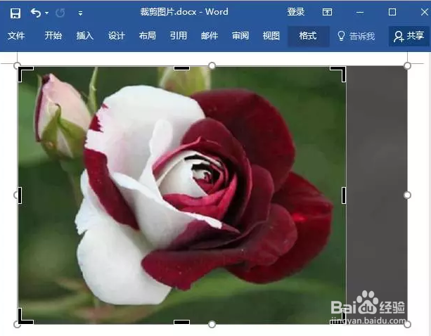 没有ps怎么办Word也能修图!