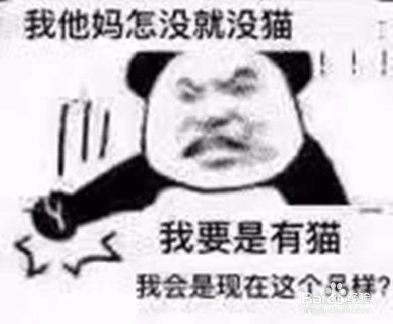 你希望自己有一只猫吗?