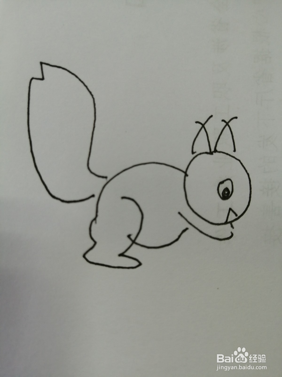 简笔画小松鼠怎么画