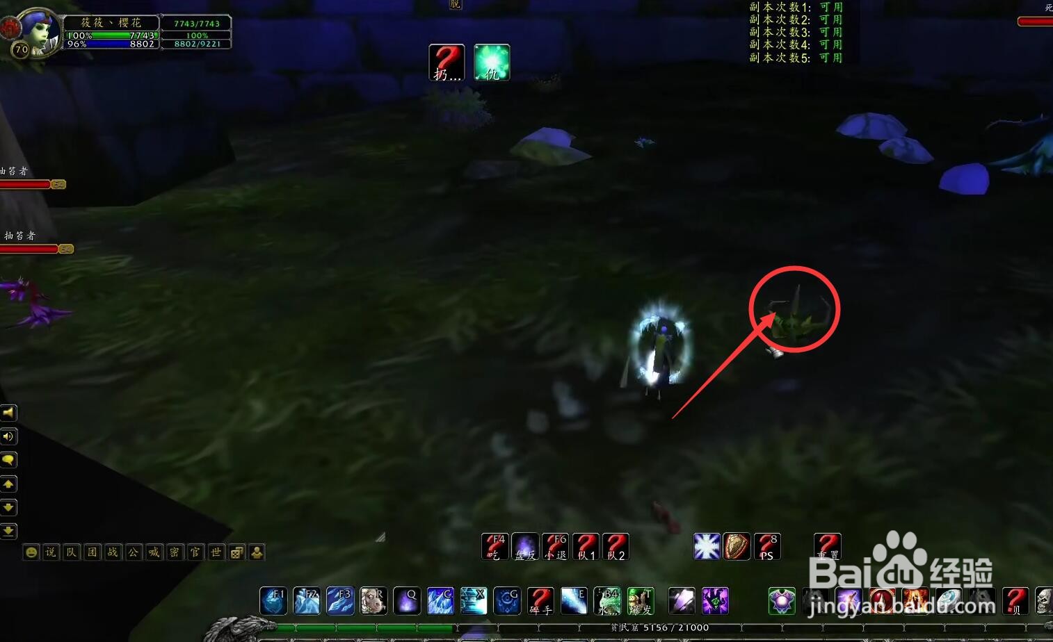 荆棘幼崽的种子怎么获得