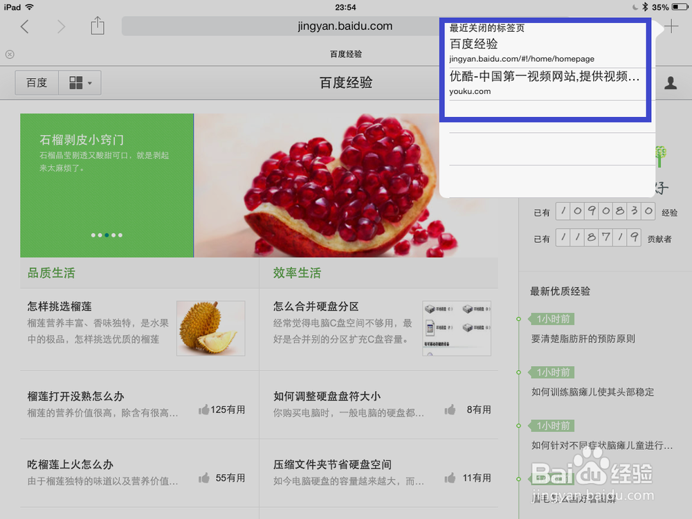 iPad Safari特殊标签功能