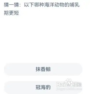 猜一猜: 以下哪种海洋动物的哺乳期更短神奇海洋