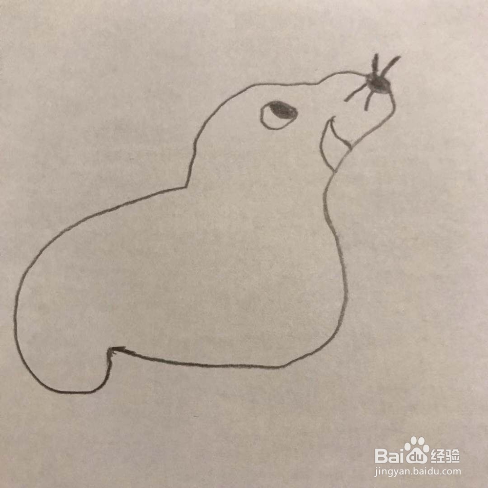 怎么画海豚呢