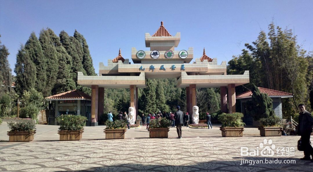 宜良有什么好玩的地方?