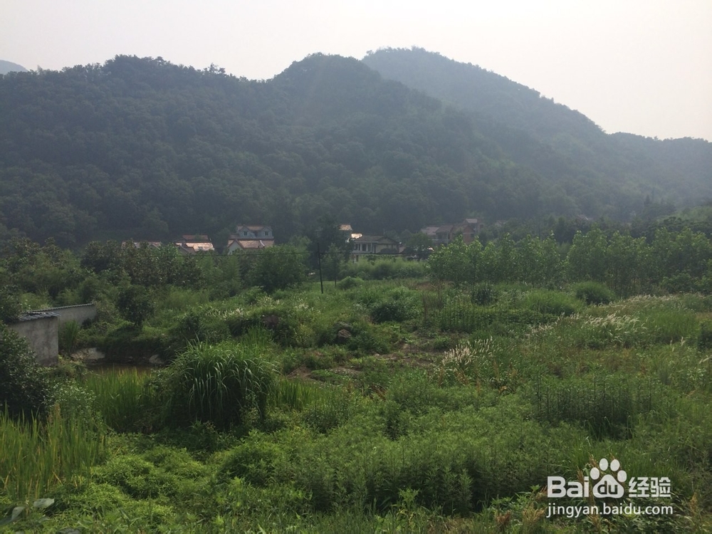 吴越古道徒步攻略