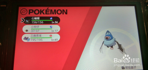 心蝙蝠怎么进化