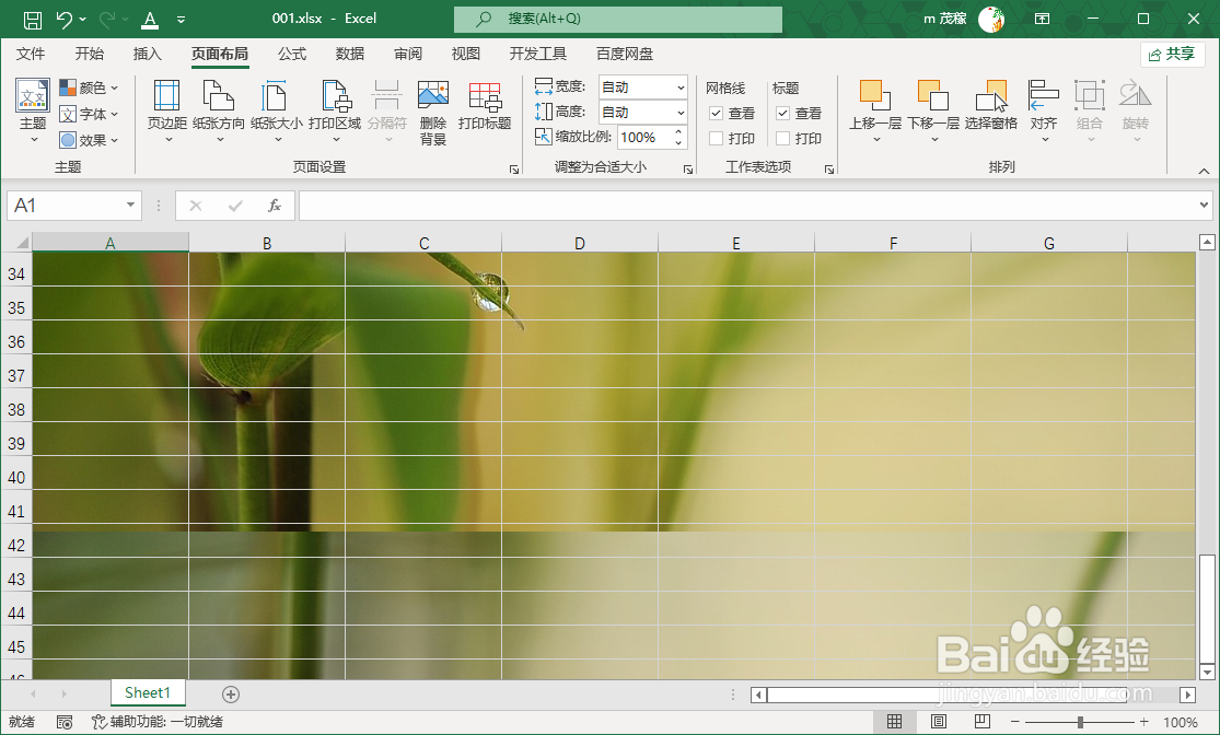 Excel2021添加图片背景