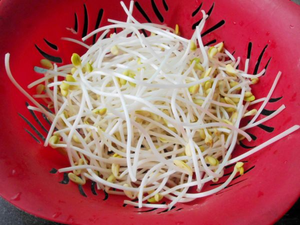 豆芽香芋白贝汤
