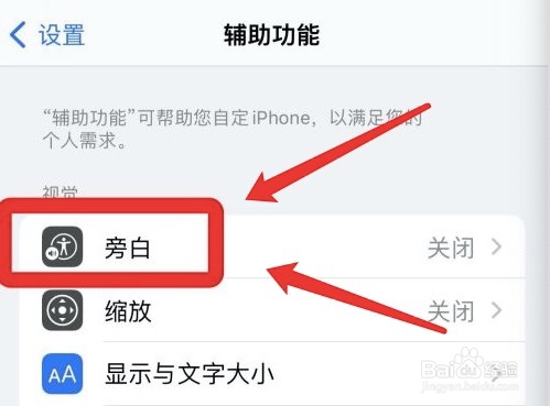 怎么设置iphone单一导览样式