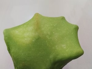 如何制作金沙奶黄软欧包