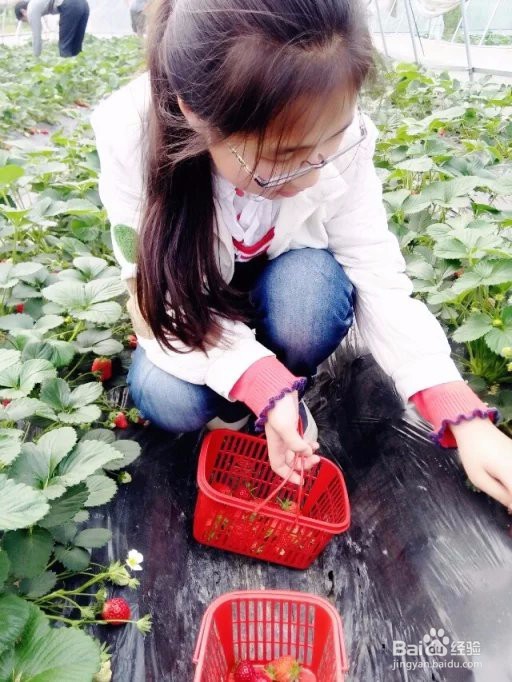 工作与学习的对立统一