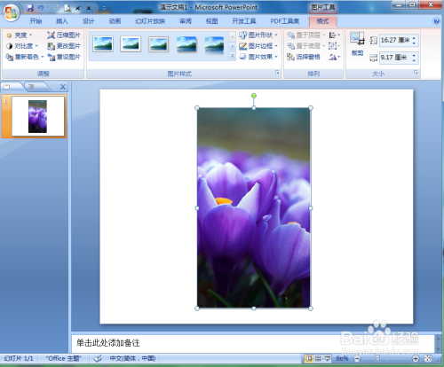 ppt中给图片添加映像圆角矩形和三维旋转样式