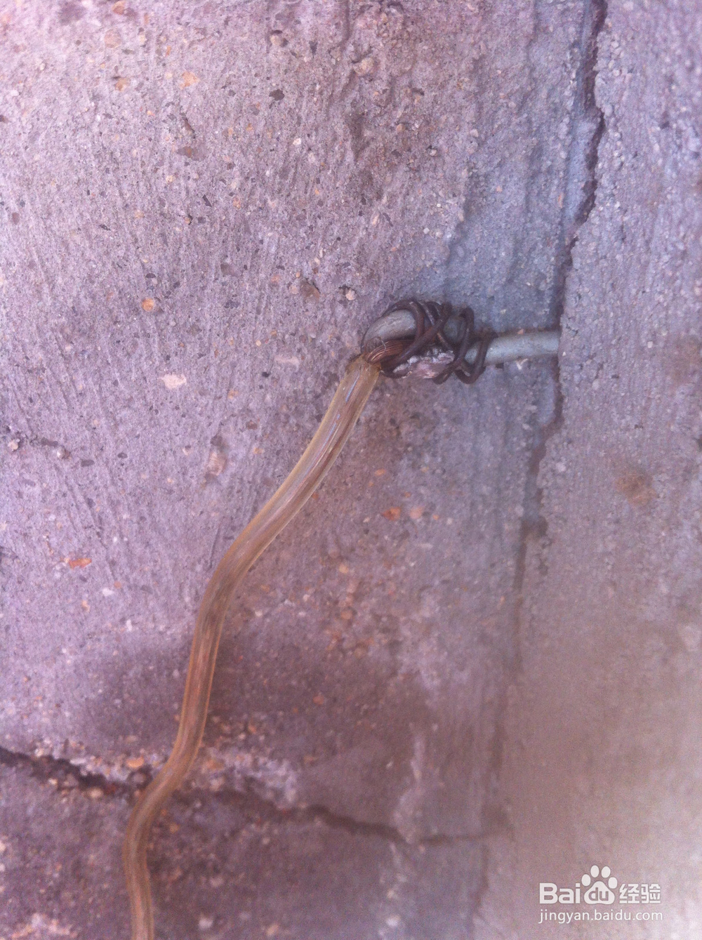 电脑漏电怎么办（原因及方法）？