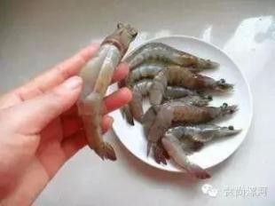 宝贝最爱的炸大虾