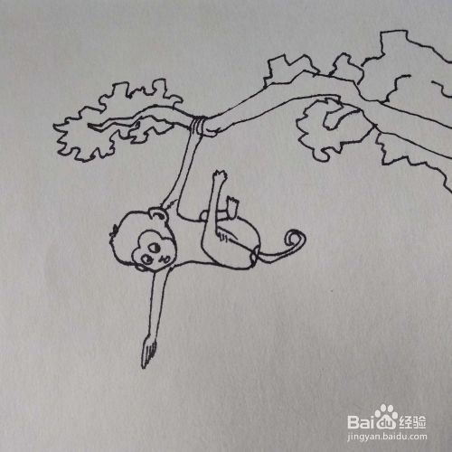 怎么画成语故事动漫猴子捞月卡通儿童简笔画