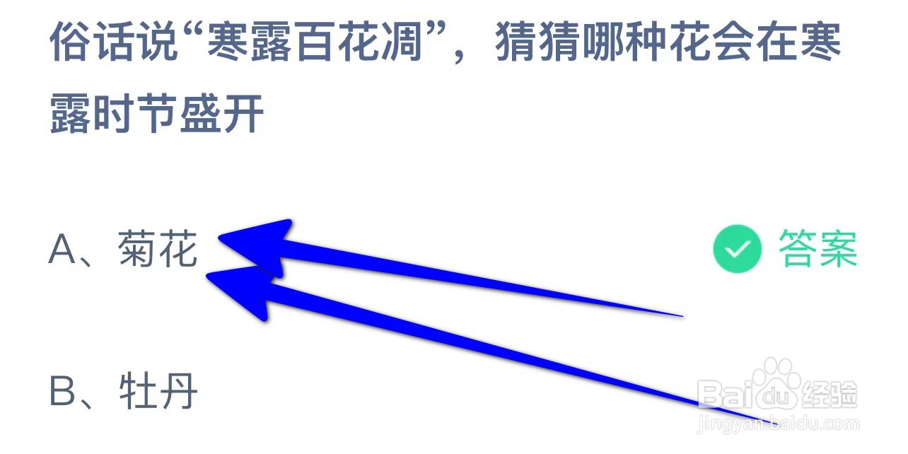 俗话说寒露百花凋猜猜哪种花会在寒露时节盛开
