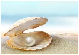 海中金命解析（甲子乙丑海中金）