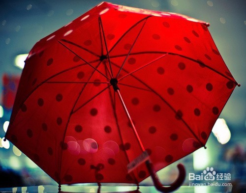 澳大利亚的旅游攻略