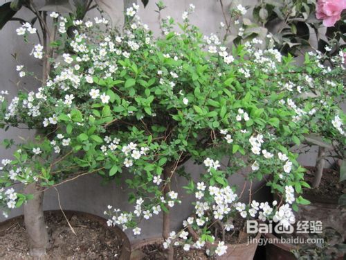 大学生如何保持良好心态