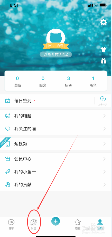 随猫树洞怎么选择职业标签