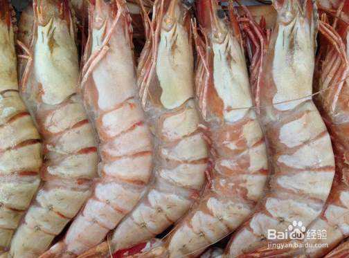 渔公码头海捕野生大虾和其他虾的区别