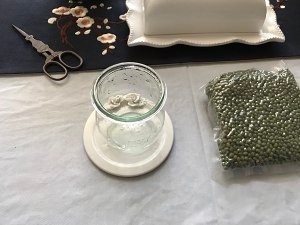 手把手教你制作绿豆盆栽