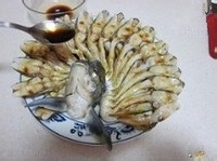 如何做孔雀开屏鱼