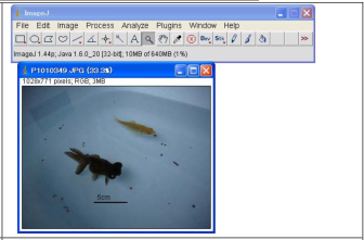 如何测定图片中物体的大小?