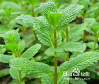 跑步 汗水引起湿疹怎么办