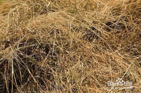 如何在小海岛上生存？