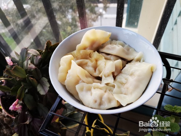 牛肉胡萝卜饺子