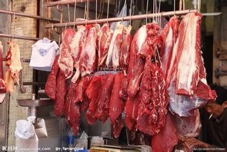 【优雅的生活专家】第四章(食材选购)二