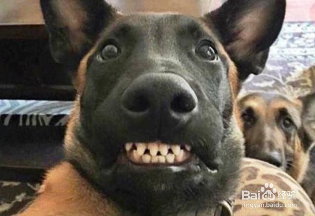 #过年#高血压病人别被忽悠了