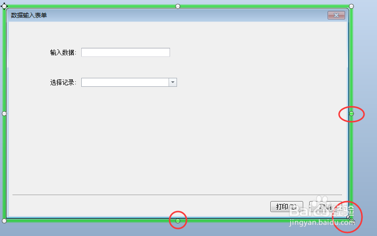 教你在BarTender中调整数据输入表单的大小