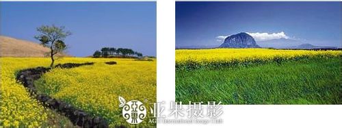 韩国婚纱照摄影最好的地方