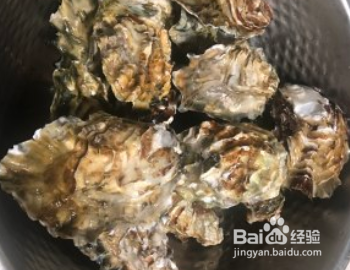 最鲜最嫩的生蚝做法——蒸生蚝