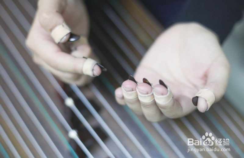 古筝艺考生如何看报考学校的招生简章和报录比