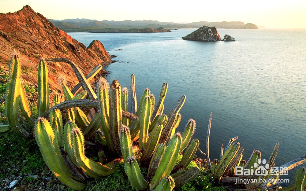 销售人员应该掌握哪些谈判技巧？