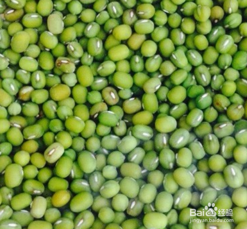 解暑绿豆汤怎么做