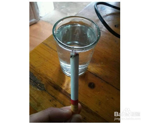 如何解决花盆中长出小蚊子