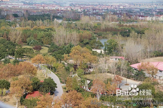 新手做土司必须要了解的5个要点---旅游外出给我们补充体力的芝麻黄油土司