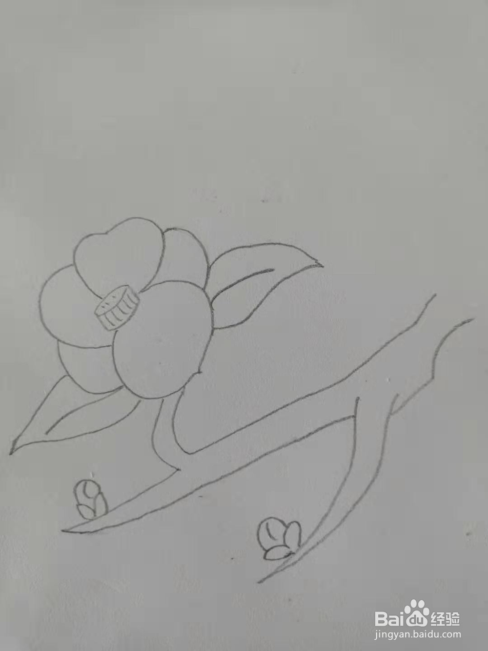 如何画梅花简笔画？