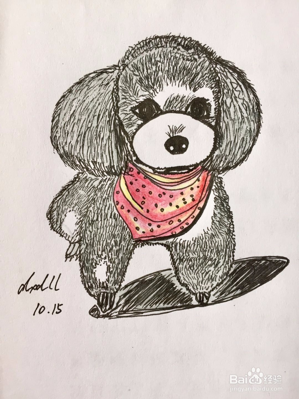 茉莉彩铅手绘之萌宠泰迪