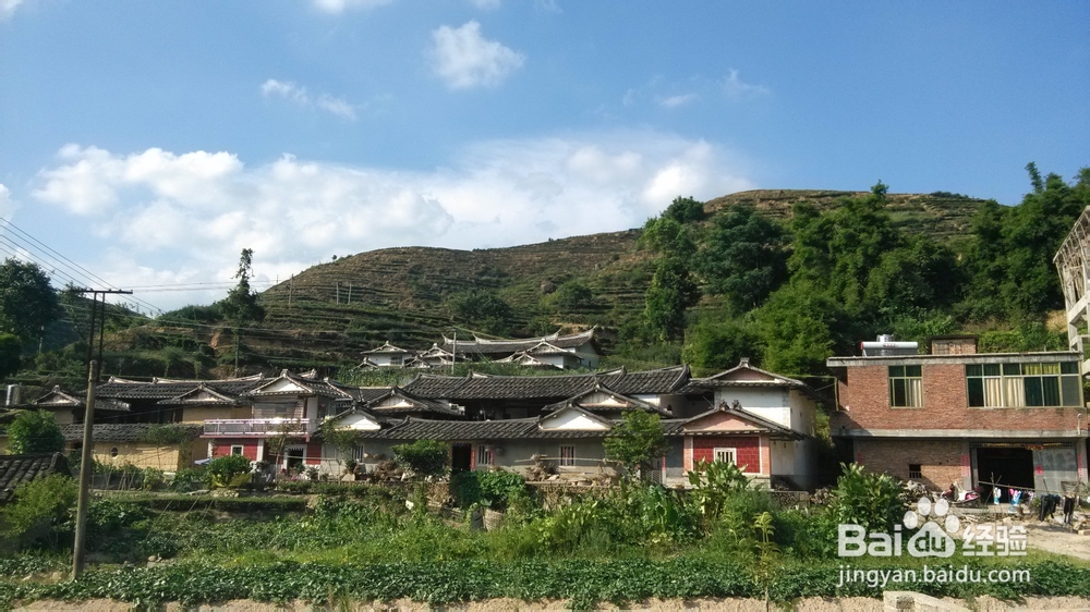 高山铁观音、低山铁观音是怎么区别