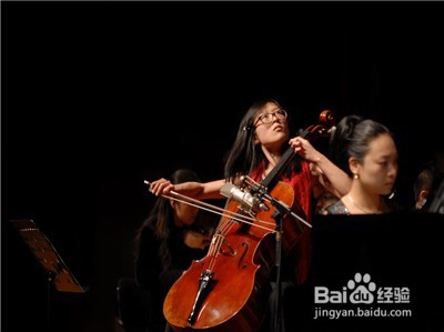 怎么挑选大提琴