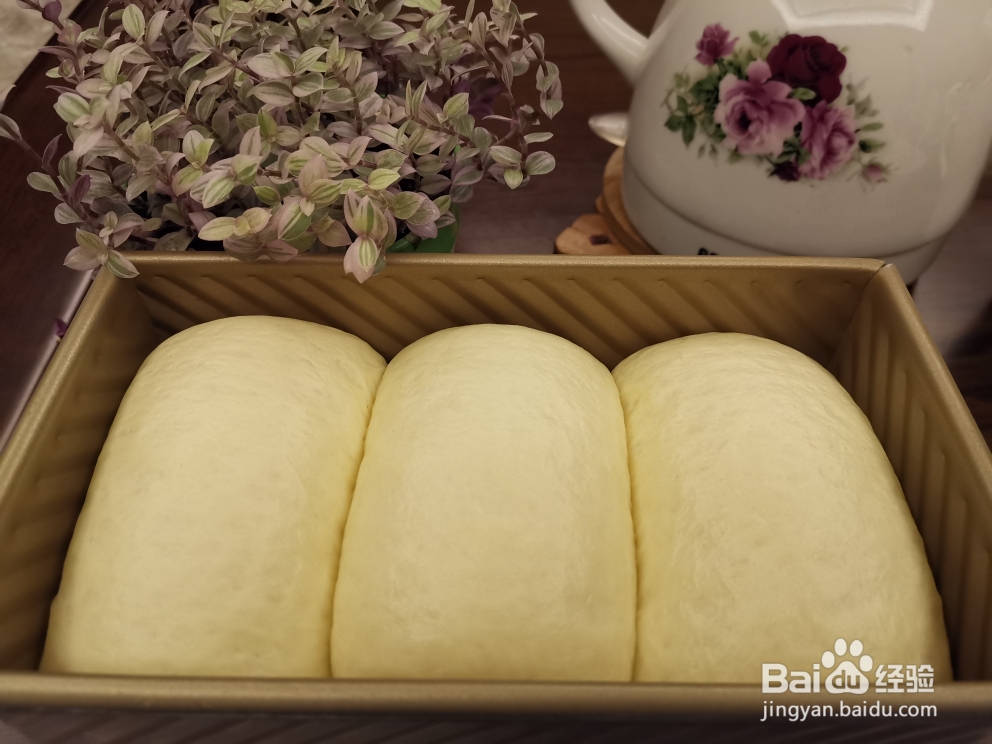 新手简单做牛奶吐司