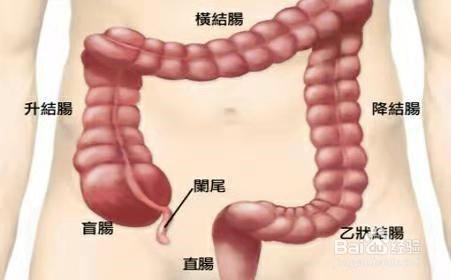 一分钟快速了解便血