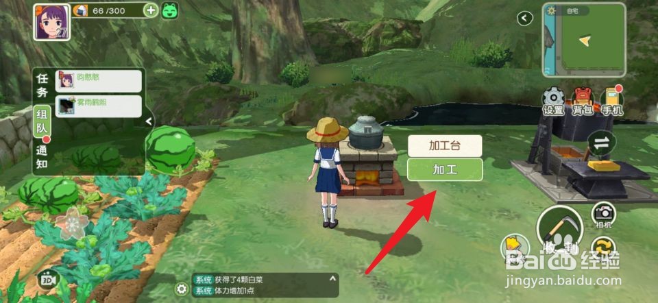 小森生活饲料怎么做