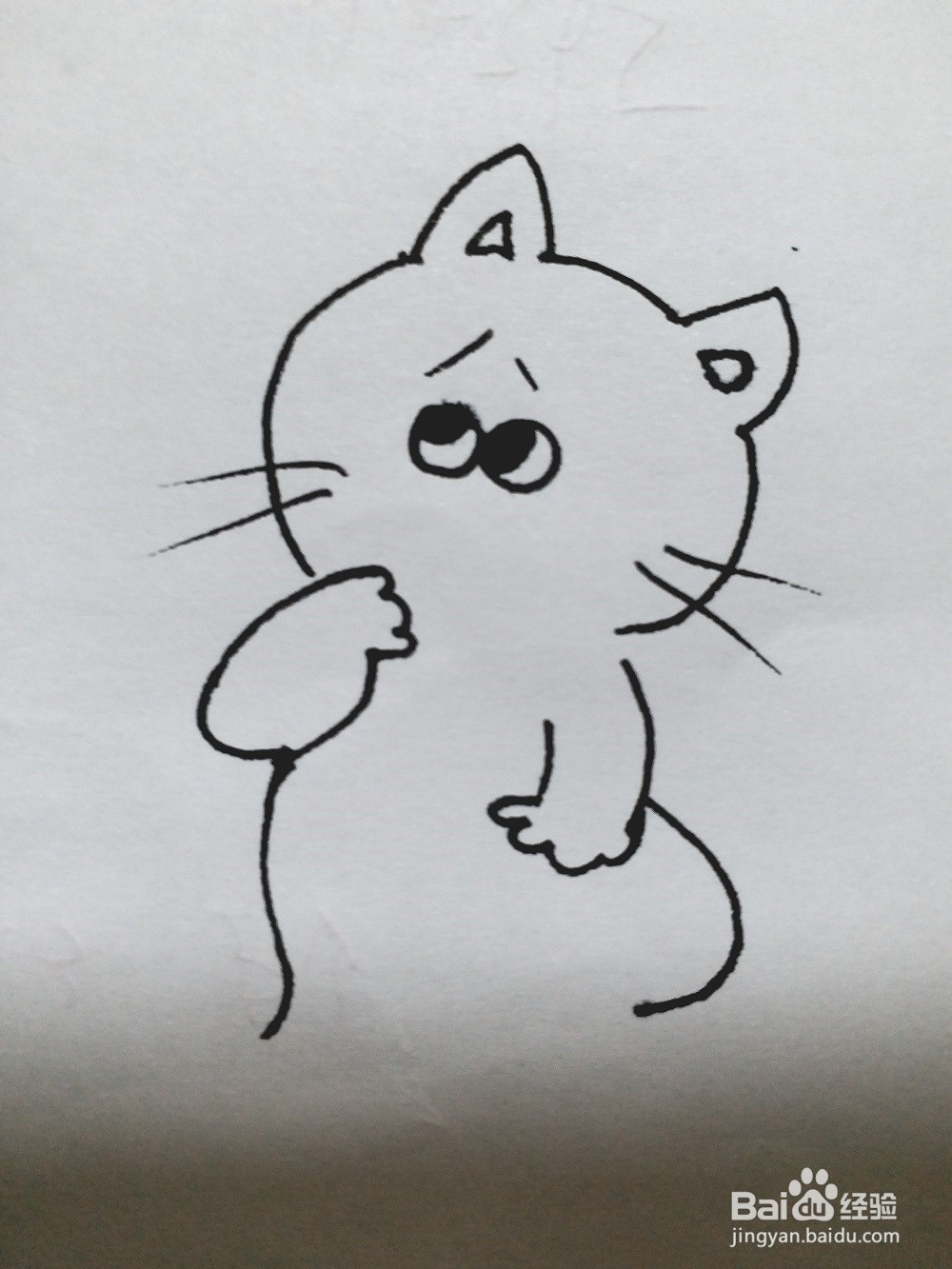 猫的简笔画法《一》